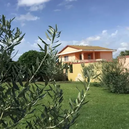 Di Dino